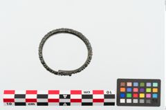Foto von Bronzeperlarmreif (NHMW-PRAE-025035)